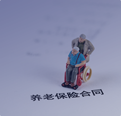 中国人寿BI综合数据服务平台